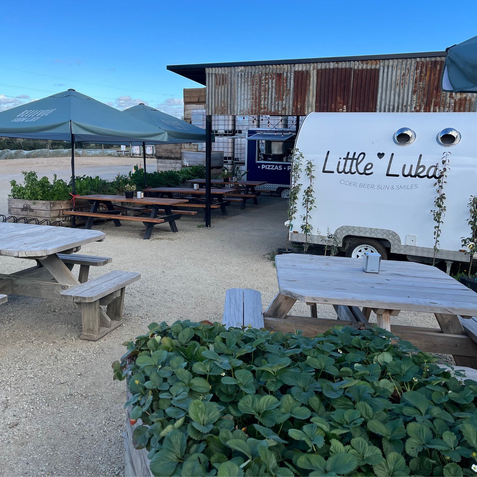 Bellevue Farm Gate at Bellevue Orchard