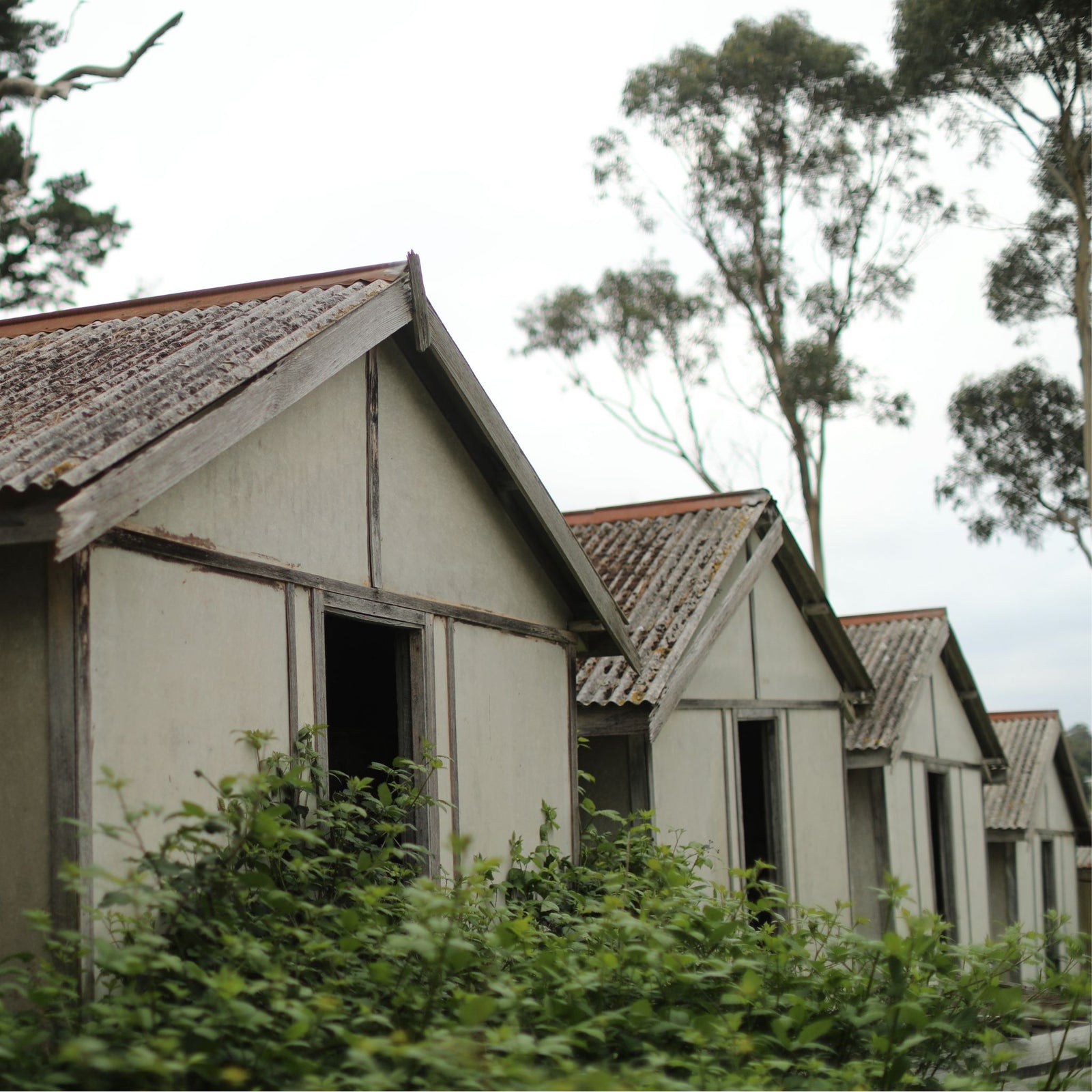 Picker's Hut at Bellevue Orchard