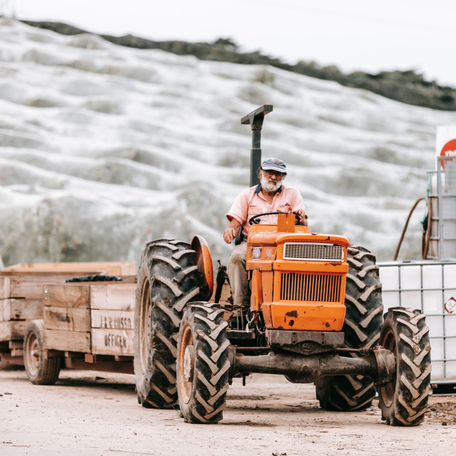Robert Russo delivering apples from the orchard - Bellevue Orchard