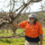 Robert Russo checking trees in the orchard - Bellevue Orchard